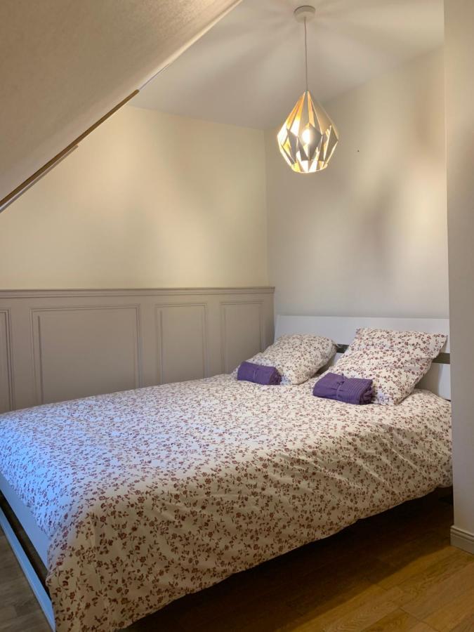 Historical town center spacious flat Colmar Exterior foto