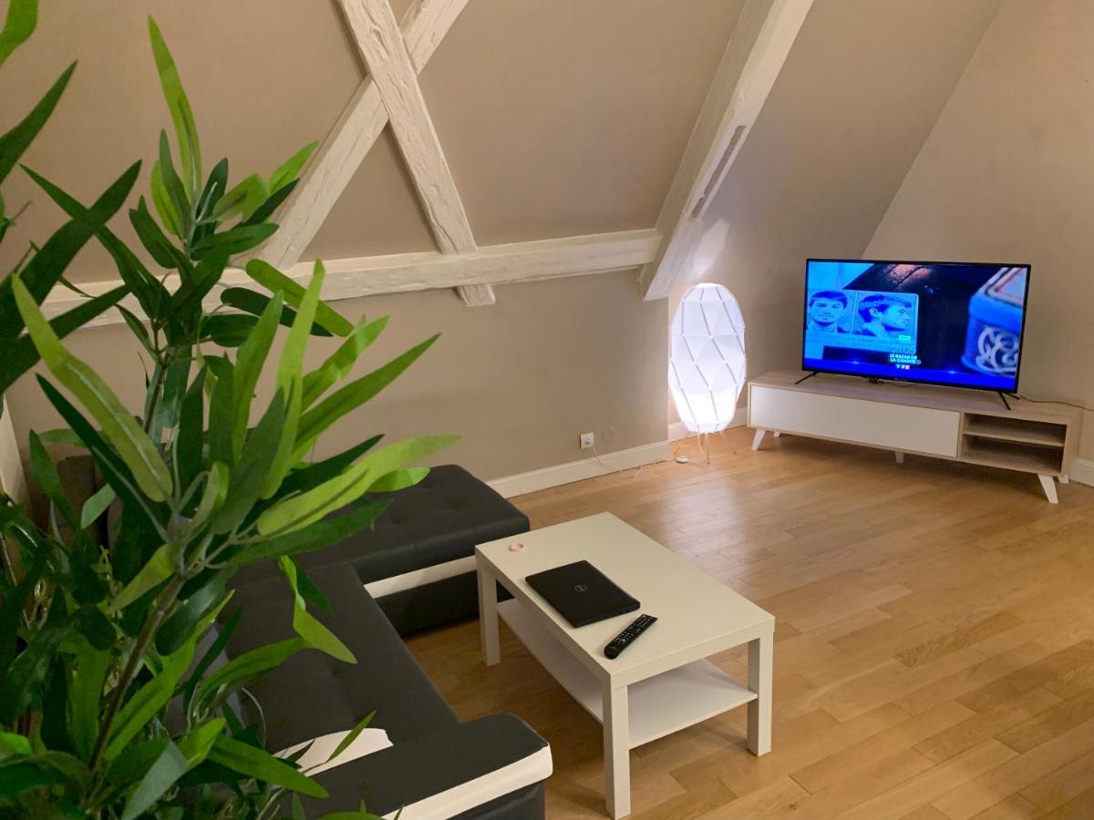 Historical town center spacious flat Colmar Exterior foto