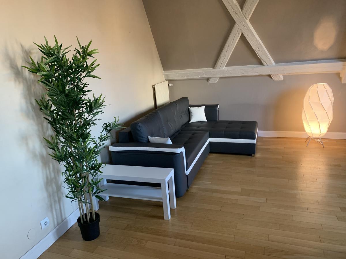 Historical town center spacious flat Colmar Exterior foto